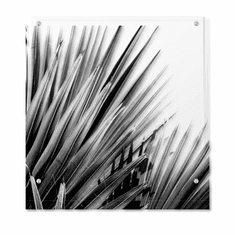 Gallerydirectart