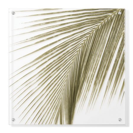 Studio EL Collection Limited Edition Ready to Hang Giclee on Clear Acrylic: "Palm Study VIII"
