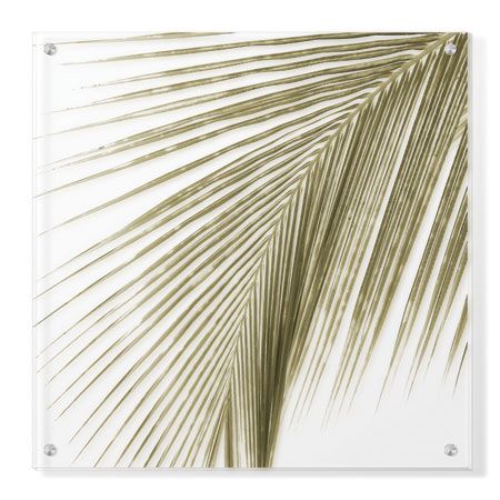 Studio EL Collection Limited Edition Ready to Hang Giclee on Clear Acrylic: "Palm Study VIII"