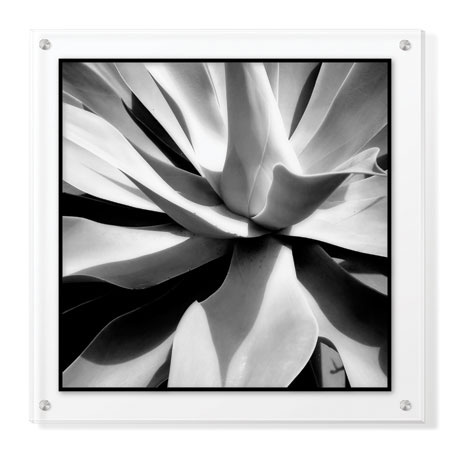 Studio EL Collection Limited Edition Ready to Hang Giclee on Clear Acrylic: "Scottsdale III"