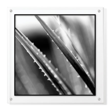 Studio EL Collection Limited Edition Ready to Hang Giclee on Clear Acrylic: "Scottsdale IV"