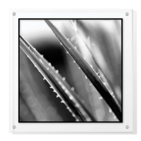 Studio EL Collection Limited Edition Ready to Hang Giclee on Clear Acrylic: "Scottsdale IV"
