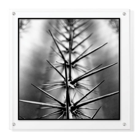 Studio EL Collection Limited Edition Ready to Hang Giclee on Clear Acrylic: "Scottsdale V"