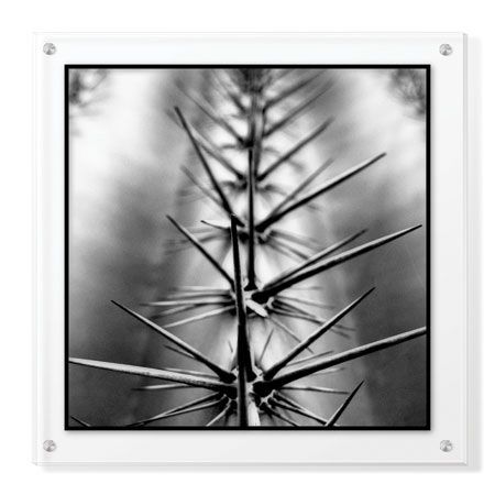 Studio EL Collection Limited Edition Ready to Hang Giclee on Clear Acrylic: "Scottsdale V"