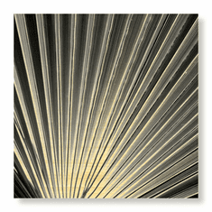 Gallerydirectart