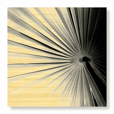 Gallerydirectart