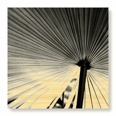 Gallerydirectart