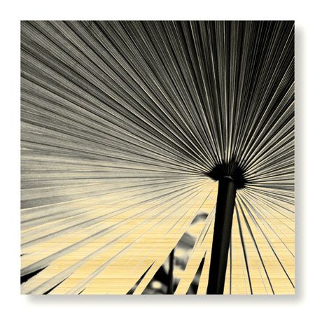 Studio EL Collection Limited Edition Ready to Hang Giclee on Sustainable Bamboo: "Palm Feature III"