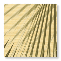 Gallerydirectart
