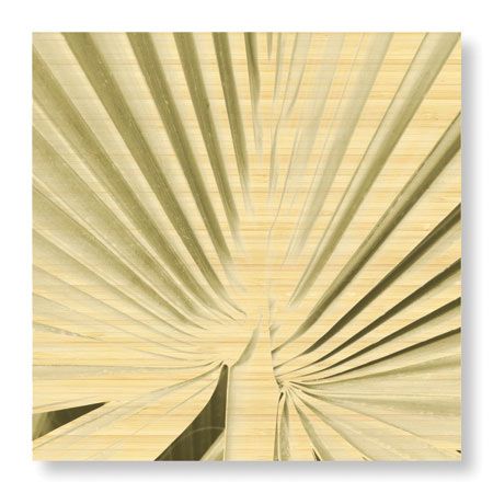 Studio EL Collection Limited Edition Ready to Hang Giclee on Sustainable Bamboo: "Palm Study III"