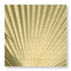 Gallerydirectart