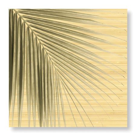 Studio EL Collection Limited Edition Ready to Hang Giclee on Sustainable Bamboo: "Palm Study VI"