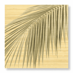 Gallerydirectart