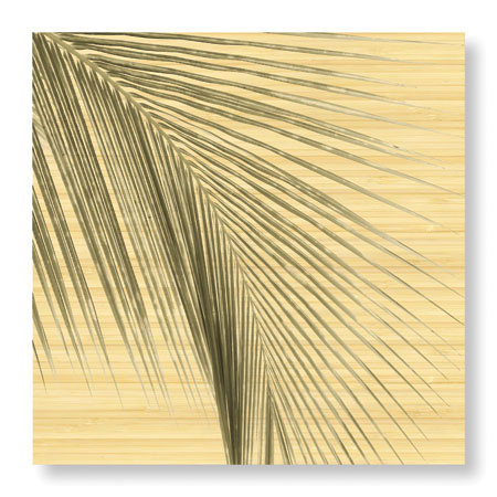 Studio EL Collection Limited Edition Ready to Hang Giclee on Sustainable Bamboo: "Palm Study VIII"