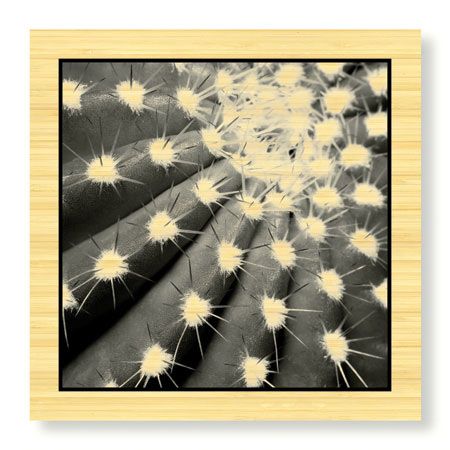 Studio EL Collection Limited Edition Ready to Hang Giclee on Sustainable Bamboo: "Scottsdale II"