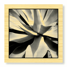 Gallerydirectart