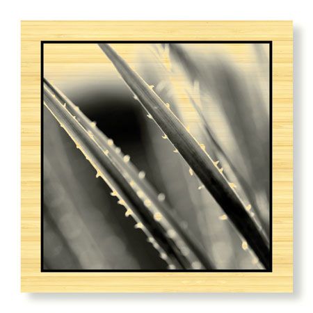 Studio EL Collection Limited Edition Ready to Hang Giclee on Sustainable Bamboo: "Scottsdale IV"