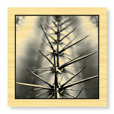 Gallerydirectart