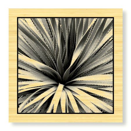 Studio EL Collection Limited Edition Ready to Hang Giclee on Sustainable Bamboo: "Scottsdale VI"
