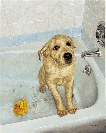 Sue Ellen Ross Open Edition Print:"Bathtime Blues"