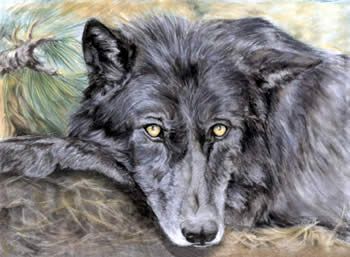 Sue Masden Giclee Print on Paper: "Kanawha"