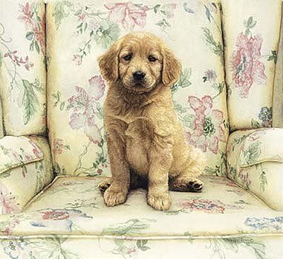Sueellen Ross Handsigned and Numbered Limited Edition Print:"Soft Spot"