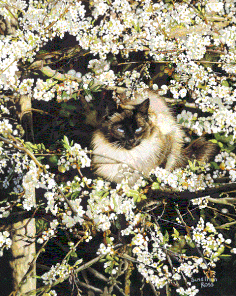 Sueellen Ross Open Edition Print:"Sylvia's Branch Office"