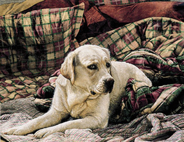 Sueellen Ross Open  Edition Print: "Gracious Living"