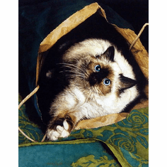 Gallerydirectart