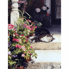 Gallerydirectart
