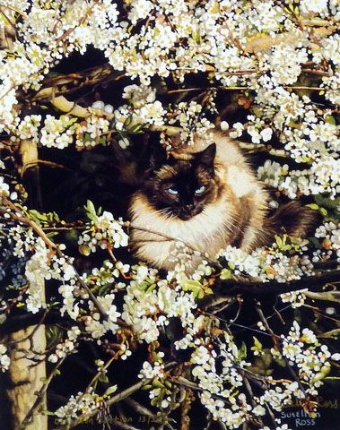 Sueellen Ross Print-Signed and Numbered:"Sylvie's Branch Office"