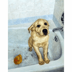 Gallerydirectart