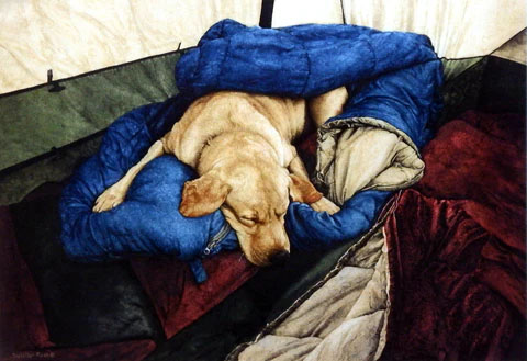 Sueellen Ross Print-Signed:"Happy Camper"
