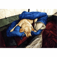 Gallerydirectart