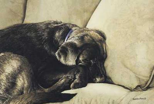 Suellen Ross Signed Open Edition Print: "Dog Nap"