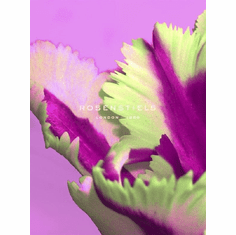 Gallerydirectart