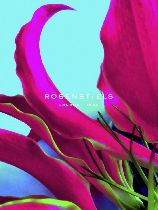 Sukhanlee 30 x 40 in. Open Giclee Canvas:"Tuvalu II"