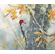 Susan Bourdet Artist Signed Limited Edition:"Autumn Sun – Red Breasted Sapsucker"