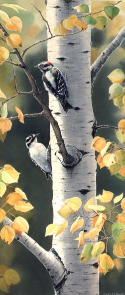 Susan Bourdet Handsigned and Numbered Limited Edition Print:"Autumn Afternoon - Downy Woodpeckers"