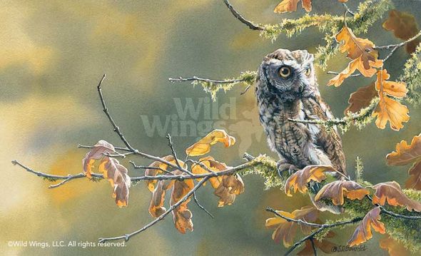 Susan Bourdet Handsigned and Numbered Limited Edition Print: "Autumn Oak-Screech Owl"