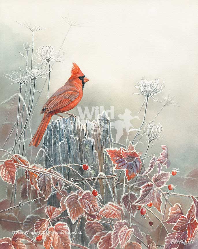 Susan Bourdet Handsigned and Numbered Limited Edition Print:"Frost & Fire - Cardinal"