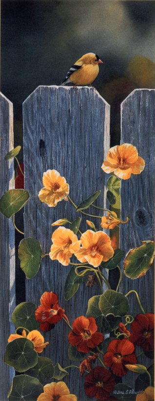 Susan Bourdet Handsigned and Numbered Limited Edition Print:" Golden Afternoon - Gold Finch"
