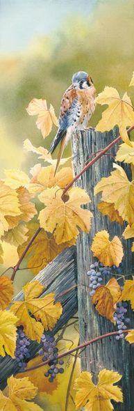 Susan Bourdet Handsigned & Numbered Limited Edition Print:"Harvest Moon-Kestrel"