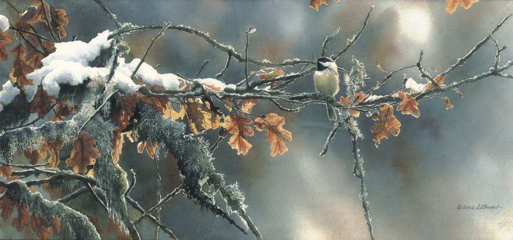 Susan Bourdet Handsigned & Numbered Limited Edition Print:"November Light - Chickadee "
