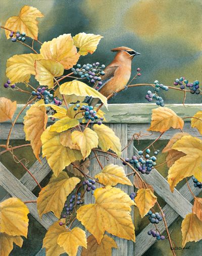 Susan Bourdet Limited Edition Print: "Country Garden -Cedar Waxwing"
