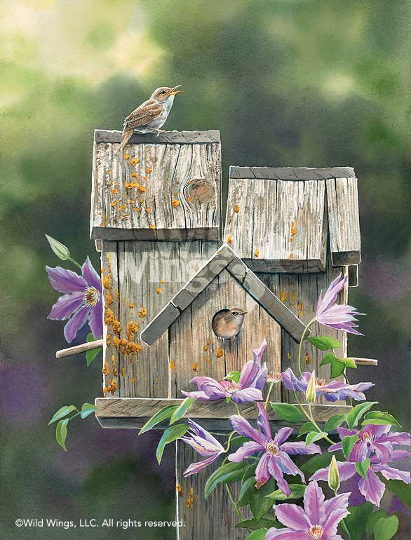 Susan Bourdet Original Watercolor Painting "Dream HouseHouse Wrens