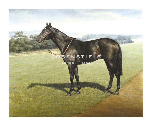 Susan Crawford Hand Numbered Limited Edition Print on Paper :"Erhaab"