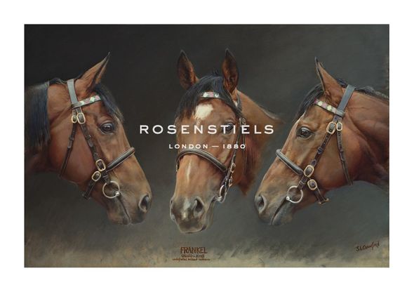 Susan Crawford Hand Numbered Limited Edition Print on Paper :"Frankel (Undefeated Brilliant Racehorse)"