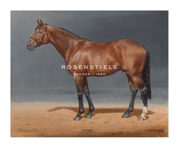 Susan Crawford Hand Numbered Limited Edition Print on Paper :"Galileo"
