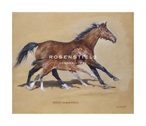 Susan Crawford Hand Numbered Limited Edition Print on Paper :"Hasili with Foal"